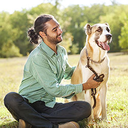 Dogs in the park. 